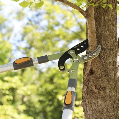 Labor-Saving Telescoping Lopper with Ergonomic Design - Ideal for Thick Branches