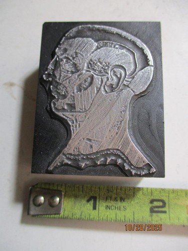 Printing Letterpress Printer Type Block Human Head w Visible Muscles Tendons - Picture 4 of 6