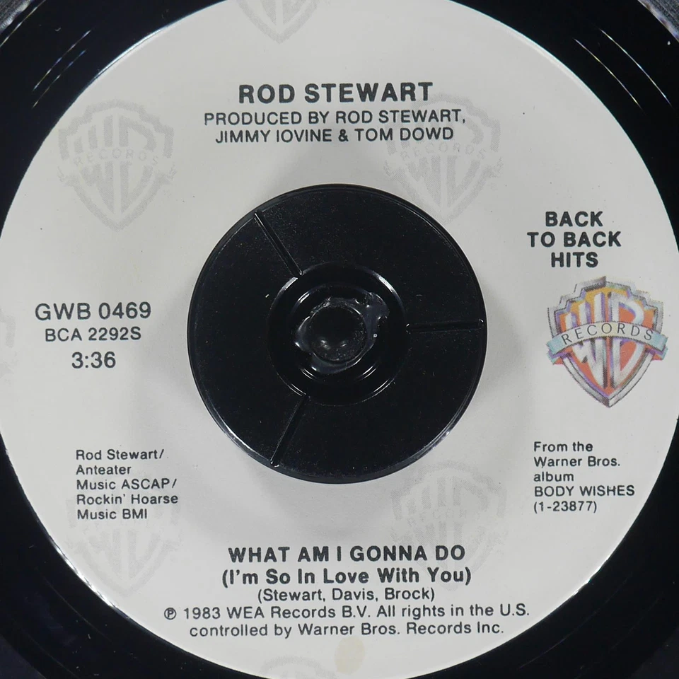 ROD STEWART Baby Jane / What Am I Gonna Do WARNER BROS GWB 0469 NM 45rpm - Image 3 of 4