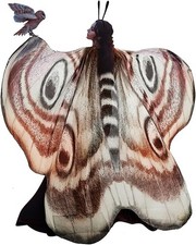 Yinder 2 Pcs Halloween Moth Wings Costume Butterfly Shawl Moth Wing Cape Costum