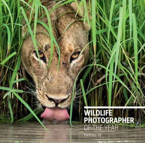 Wildlife Photographer of the Year: Portfolio 28 by Rosamund Kidman