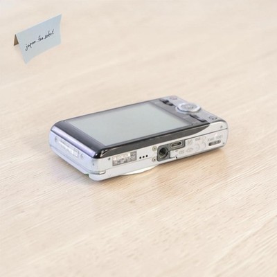 Sony Cyber Shot DSC-WX100 Silver Digital Camera 18.2MP 10x Zoom 