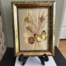 Vintage Framed Dried Pressed Flower Art Gold ...