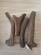 X4 Deer Antler, Natural Dog Chews