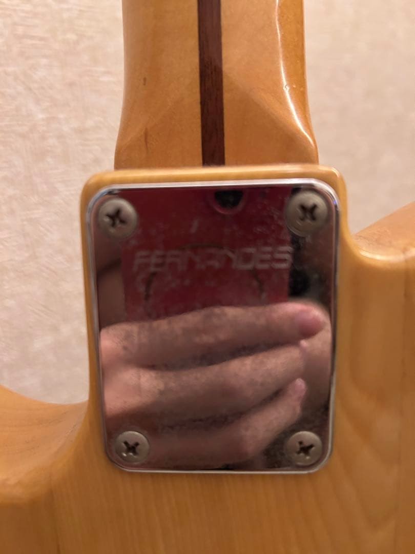 Electric Guitar Fernandes THE HENYA Telecaster Ash SC Natural