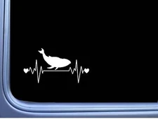 Whale Lifeline L816 8 inch Sticker marine life humpback moby Decal