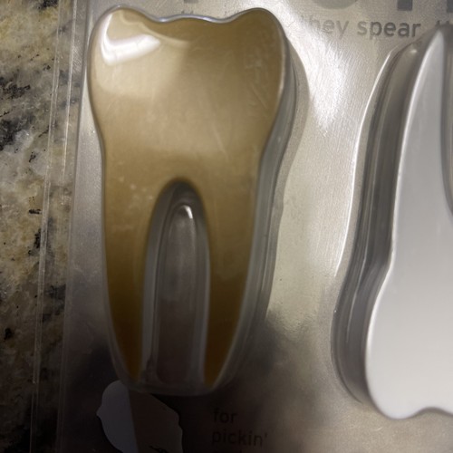 Tooth Shaped Toothpicks Set Of 24 2008 NOS. Stabbing Scooping Spearing - Picture 4 of 5