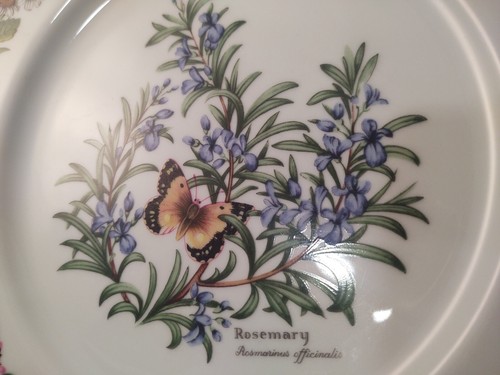 Juego de 2 platos de cena Royal Worcester Worcester Herbs 10 1/4" - romero - Imagen 5 de 8