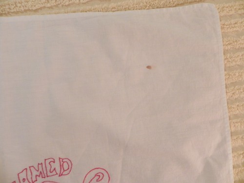VTG Unique Rare Double Pillow Layover Hand Embroidered w/Lady Saying, White/Red - Picture 11 of 16