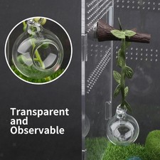 Jumping Spider Hideaway Habitat Tank Accessories for Resting Climbing Decor