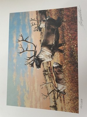 Caribou Art Print From Boone And Crockett Club Set. Print 101/1887.