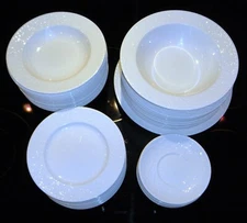 Mikasa Maxima Riviera #CAN01 Super Strong Fine China.