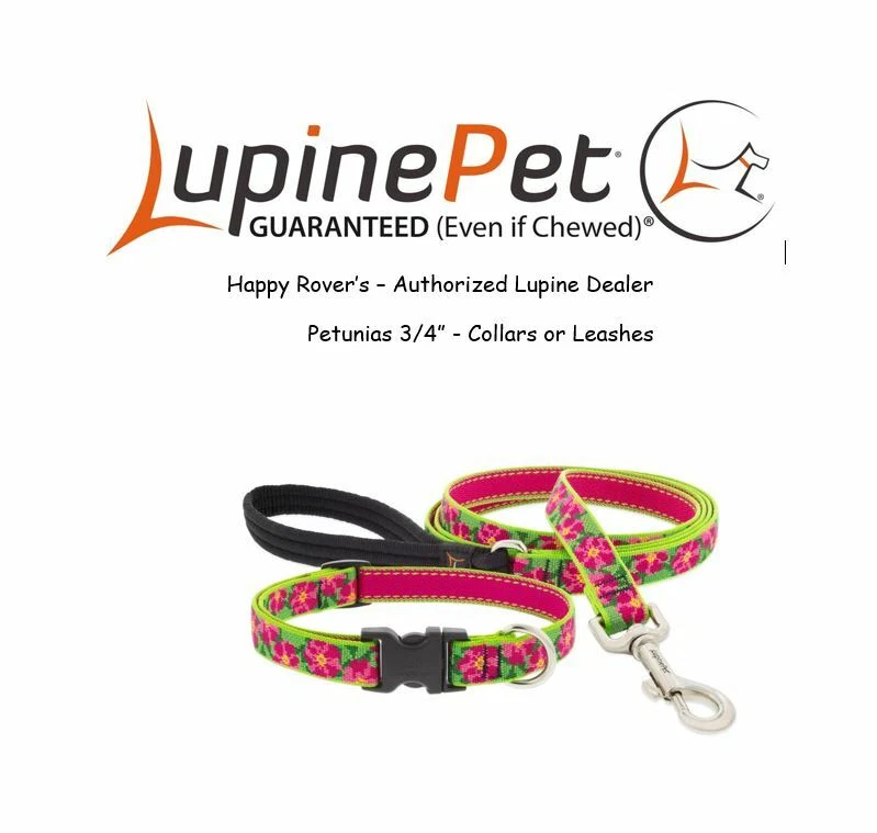 Lifetime leash cheap
