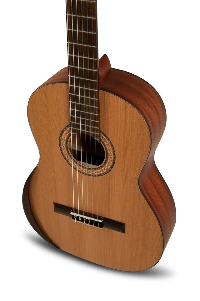 Manuel Rodriguez Tradicion T-65 4/4 Classical Guitar – Solid Cedar w/ Armrest - Image 4 of 4