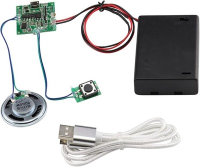 MP3 Sound-Chip Modul 8MB USB Aufladbar mit Batteriebox und Lautsprecher