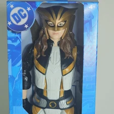 DC Spin Master 2025 Hawkgirl 12 Inch Figure DCU Studios Superman Movie 