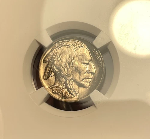 Buffalo Nickel.   1936 D.  NGC MS 65.  Blazing.  Undergraded!     (see video!)