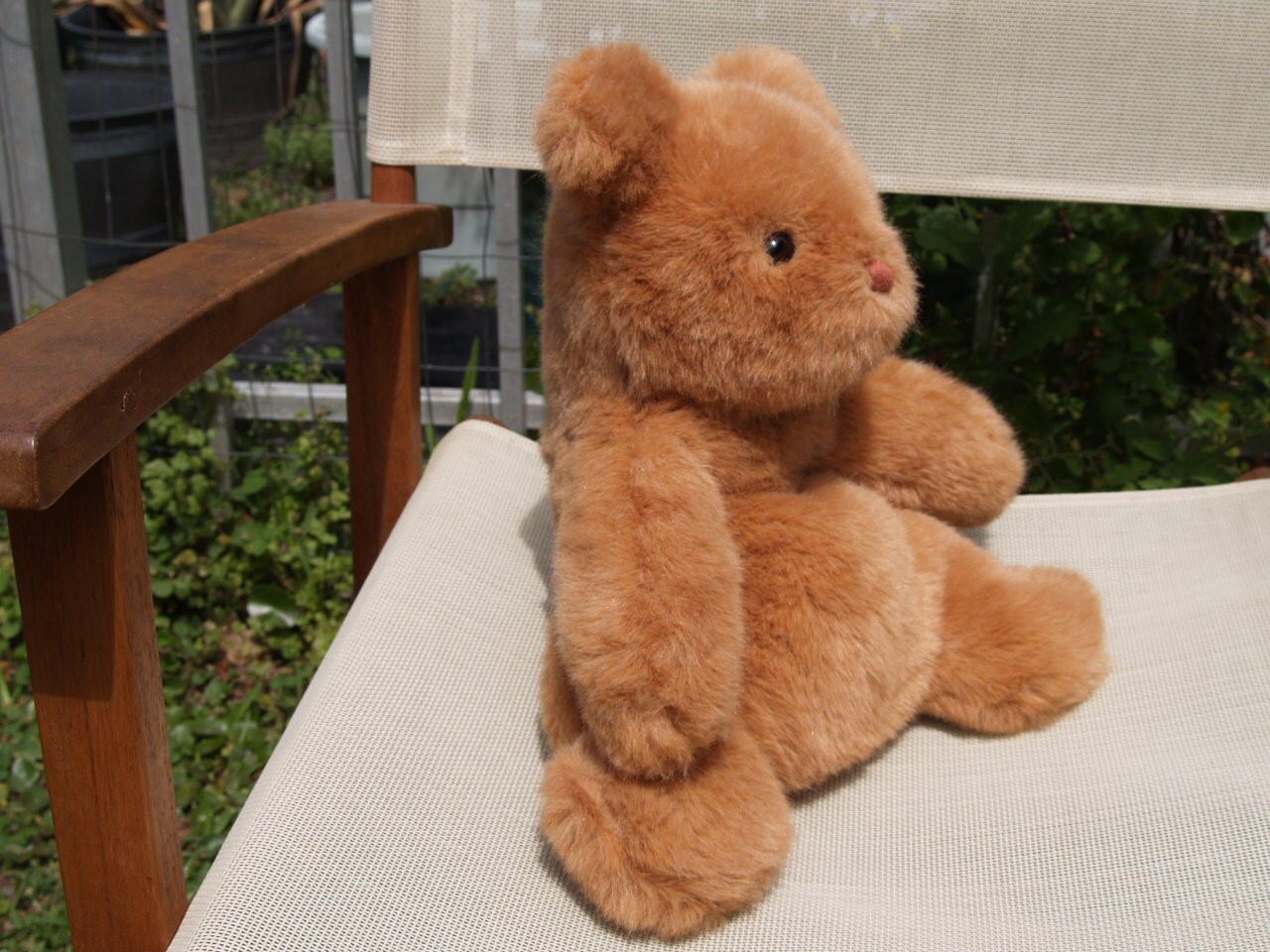 Bild 11 von 12