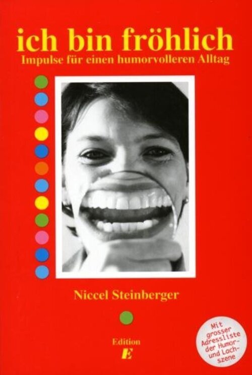 Niccel Steinberger | Ich Fröhlich | Taschenbuch | Deutsch (2003) | 292
