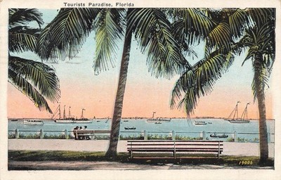 Vintage Postkarte St. Petersburg FL Touristen Paradies Palmen Boote 1926