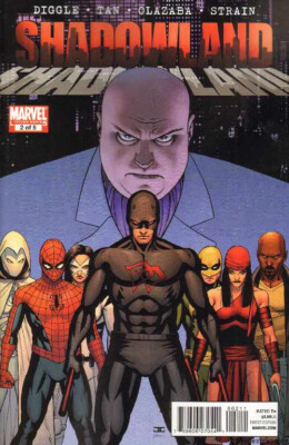 Shadowland Nr. 2 (2010)