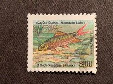 SRI LANKA 1990 ENDEMIC FISH 8.00 MOUNTAIN LABEO - FINE  USED 8R