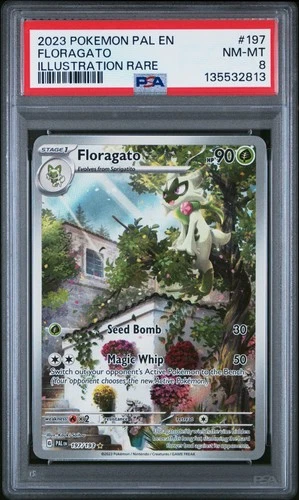 PSA 8 Floragato #197 2023 Pokemon Paldea Evolved 135532813
