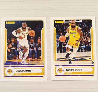 Panini LeBron James NBA 2023-24 Sticker & Card Collection 2-Karten Lot Nr. 2/93