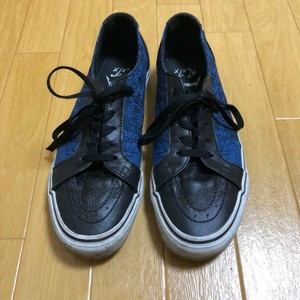 robert trujillo vans