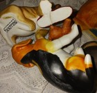 Bild 17 von 20