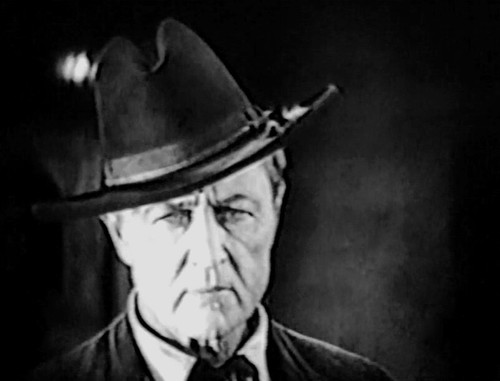 DVD "Zander the Great" (1925) Marion Davies, Harrison Ford, Classic Silent Drama - Picture 8 of 11