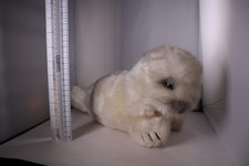 Vtg DAKIN 1982 HARMONY HARP Baby SEAL Stuffed FUZZY Plush White Laying 16"