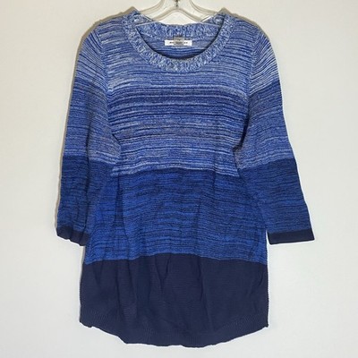 Allison Daley Sweater Womens Large Blue Color Block Striped Tunic Crewneck Soft