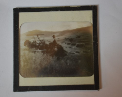 Magic Lantern Slide Photo Australia Social History Horse Drw Reaper Binder Kerry - Picture 3 of 3