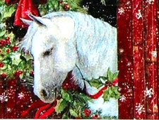 12 BEAUTIFUL HORSE HORSES EQUESTRIAN PHOTO STICKERS USA MADE 21 FAST SHIP 