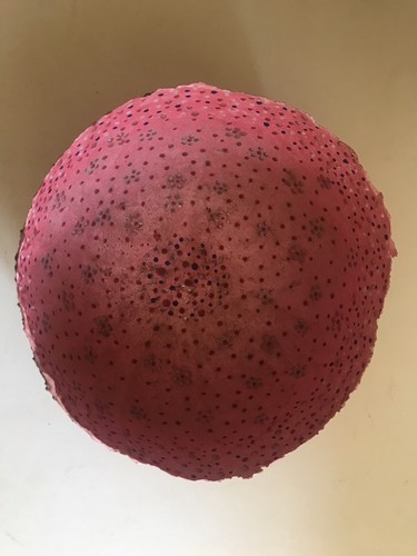 "Tazón rosa con cuentas de papel maché hecho a mano borde irregular 7,5"" x 4,5"" único en su clase" - Imagen 3 de 5
