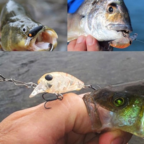 Floating Minnow Fishing Lure Pike Mini Fishing Crankbait Swimbait 3.5cm - Picture 4 of 16