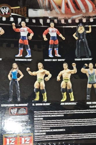 WWE Sunny Classic Superstars Wrestling Action Figure Toyfare 1 in 3000 Jakks - Picture 11 of 16