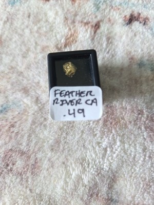 This specific 0.49-gram natural gold nugget from Feather River, California