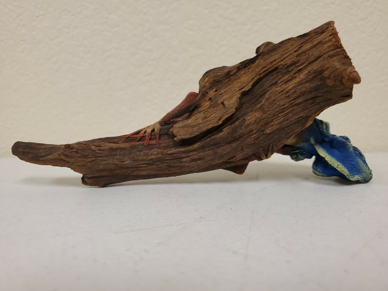 Blue Iguana Lizard Carved Wood Sculpture Folk Art on Driftwood Super Lifelike