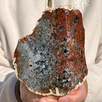 1270g Rare Natural Raw Red Ocean Jasper Rough Crystal Mineral