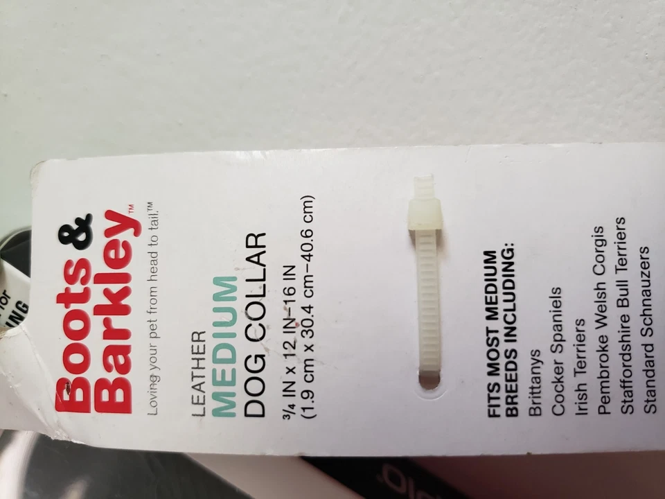 Red Leather Dog Collar for Medium Sized Dogs - Image 3 of 4