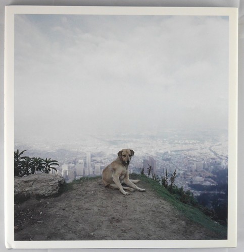 SIGNED - ALEC SOTH - DOG DAYS BOGOTA - 2007 1ST ED sleeping niagara love print - Bild 1 von 2