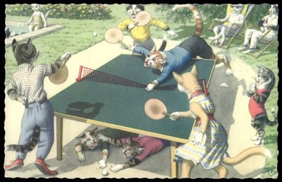 Postcard Cats Playing Ping Pong Game 