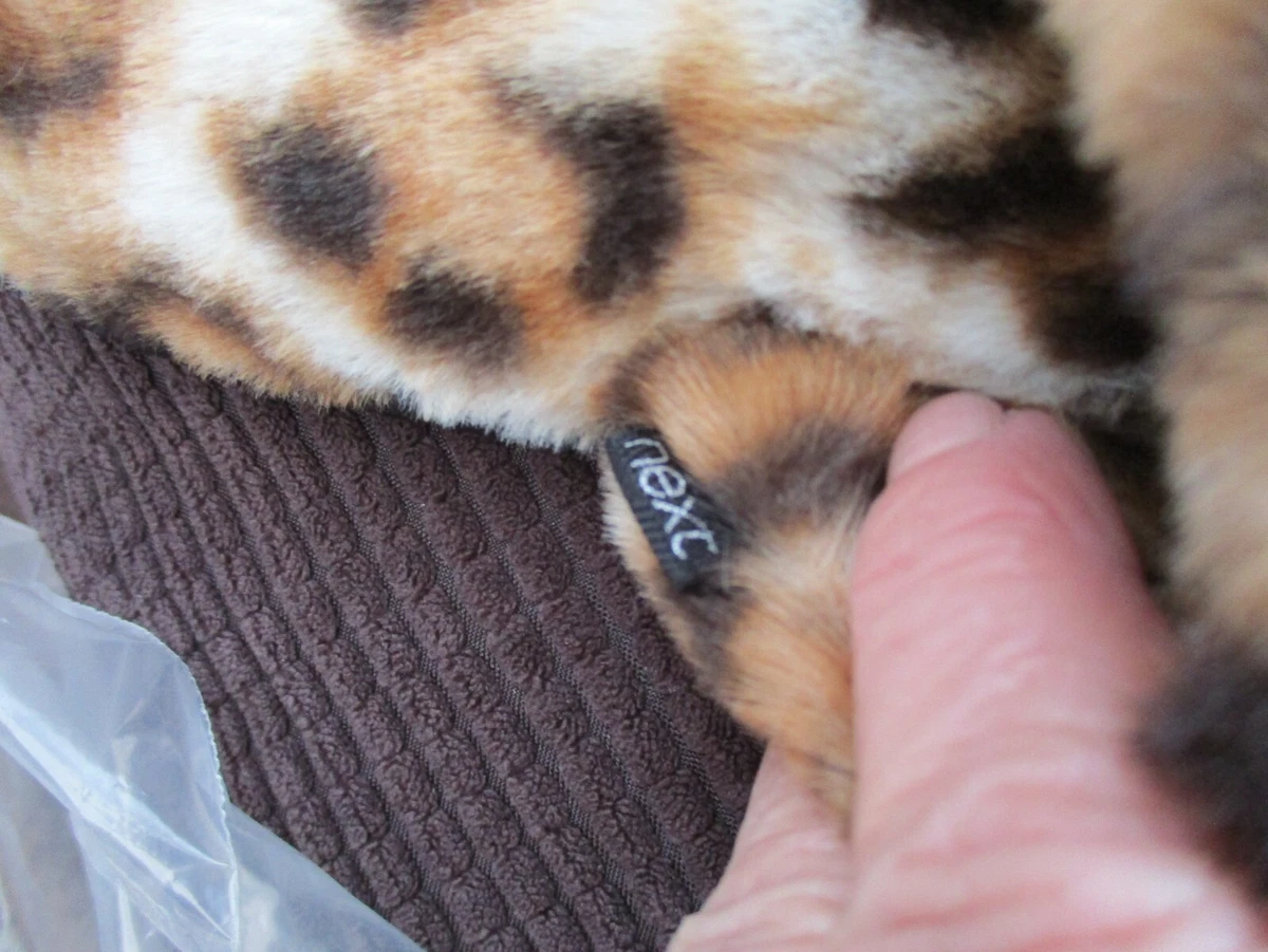 Next cat slippers store