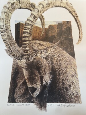 Zoo/America Sample Print Nubian Ibex Signed H.D. Hocking #10/20 (W)