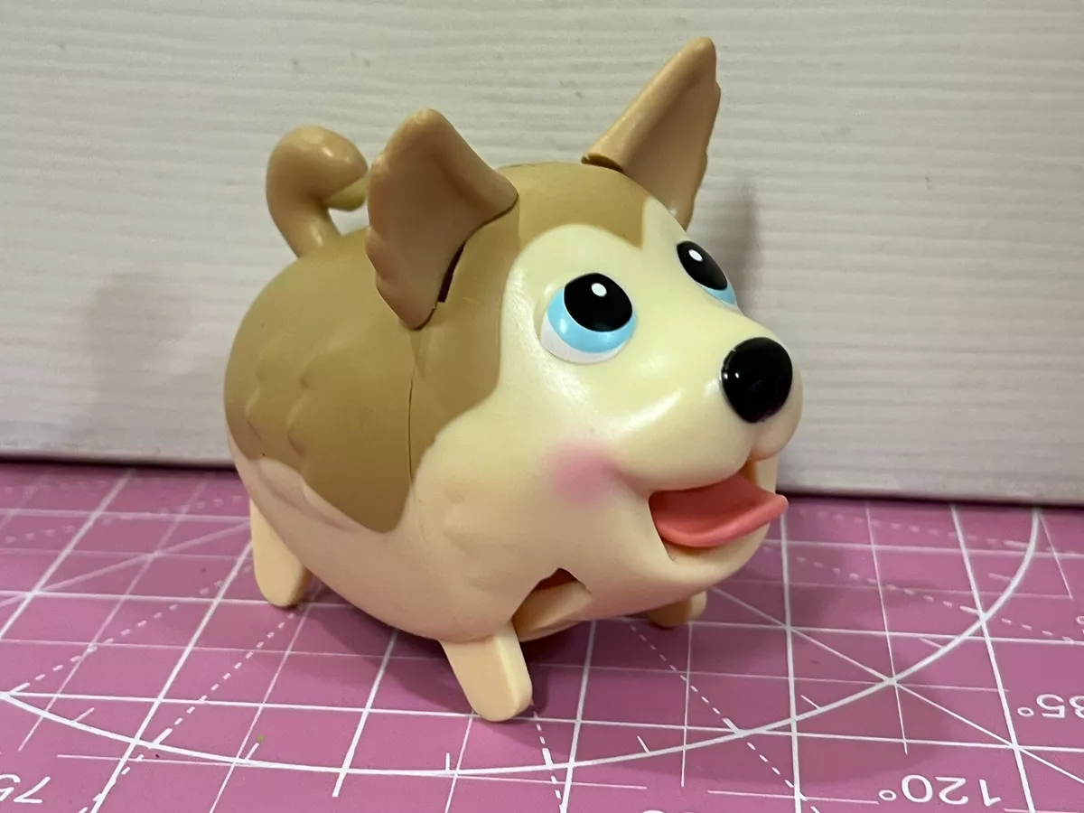 Chubby top puppies husky