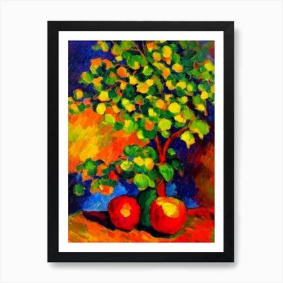 Stern Apfel 2 Früchte lebendige Matisse gerahmtes Wandbild Poster Leinwanddruck Bild