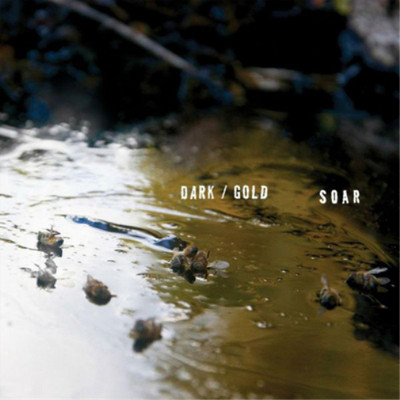 Soar Dark/Gold (Vinyl) 12'' Album