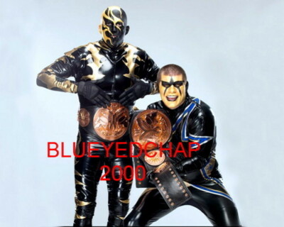 DUSTIN & CODY RHODES WRESTLER 8 X 10 WRESTLING PHOTO WWE | eBay